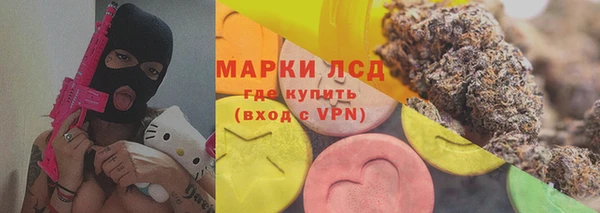 соль ск Новодвинск