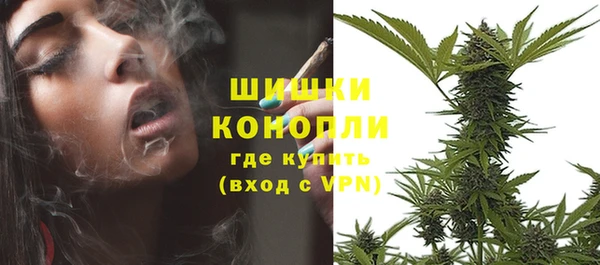 гидра Наволоки